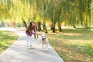 Pet Park